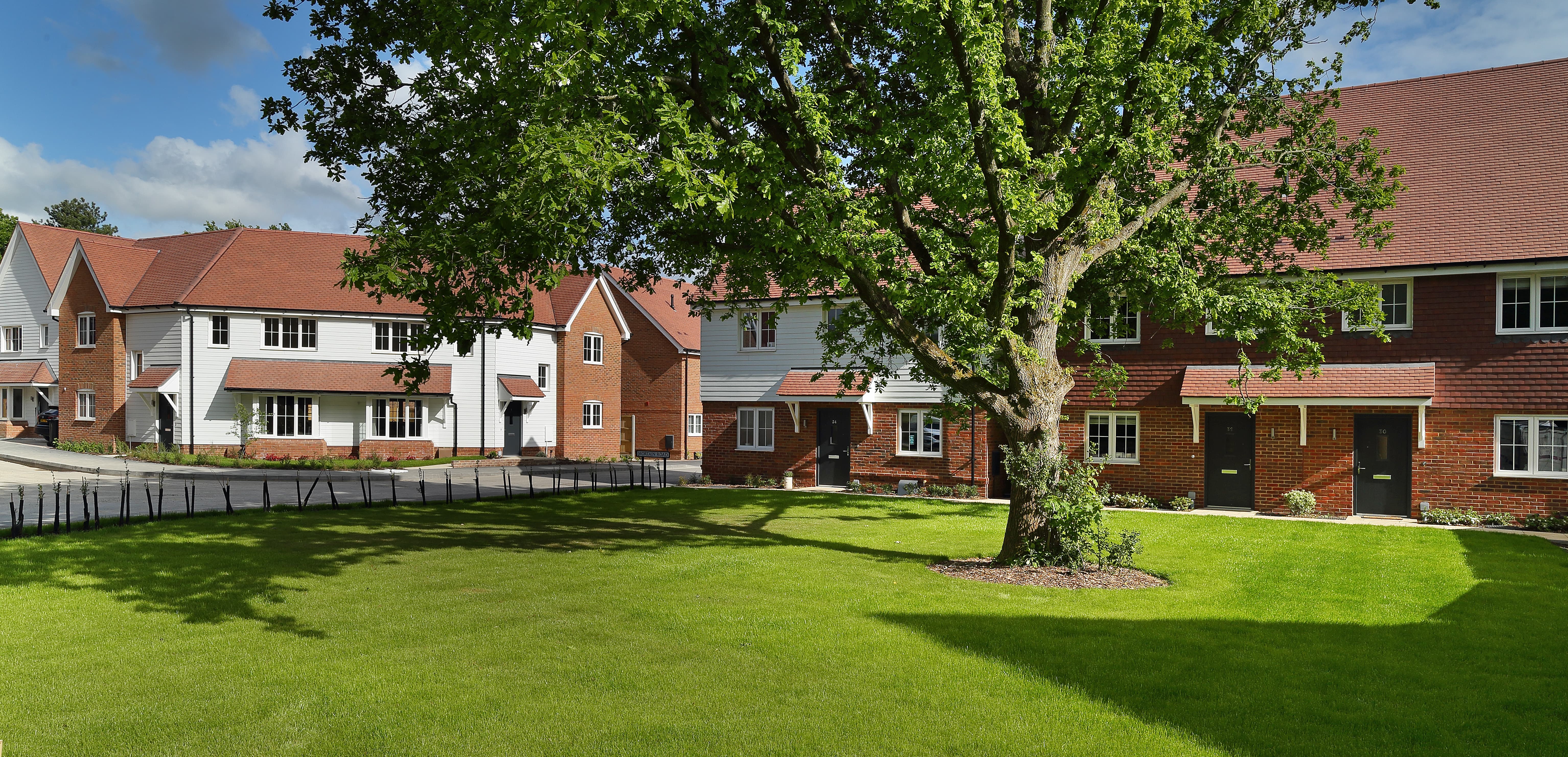 /StreetScence_Plot6_cropped