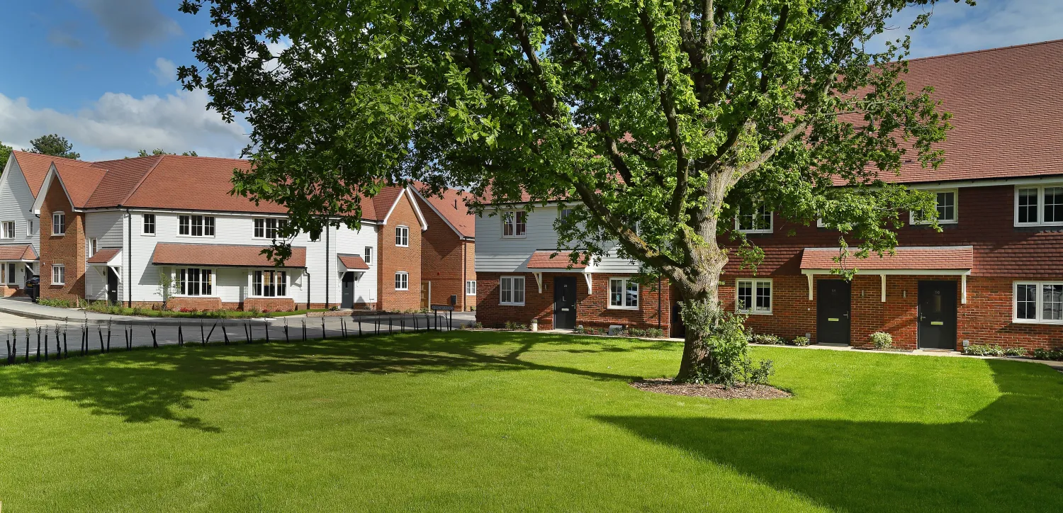 StreetScence_Plot6_cropped