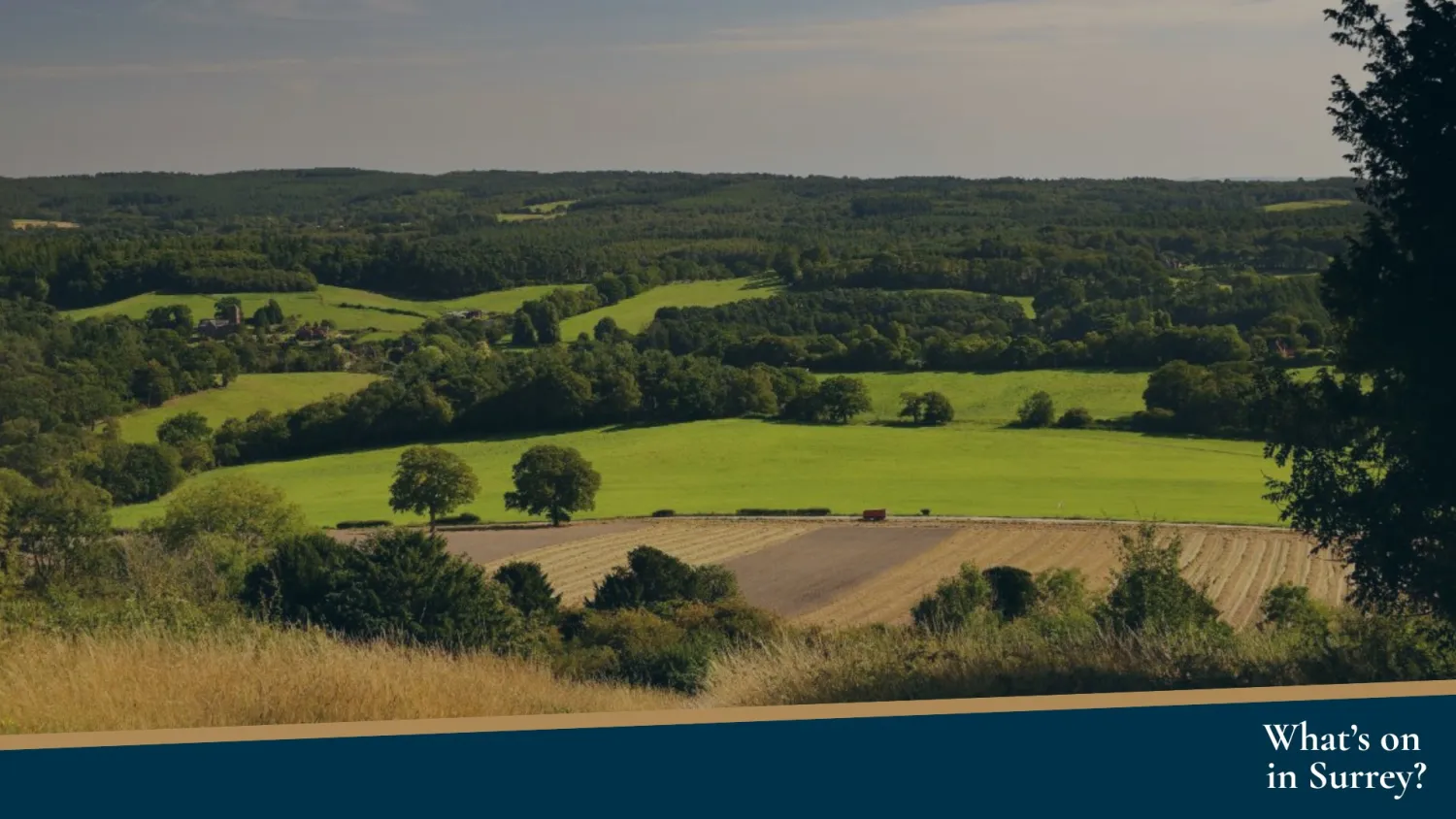 What’s on in Surrey - Header