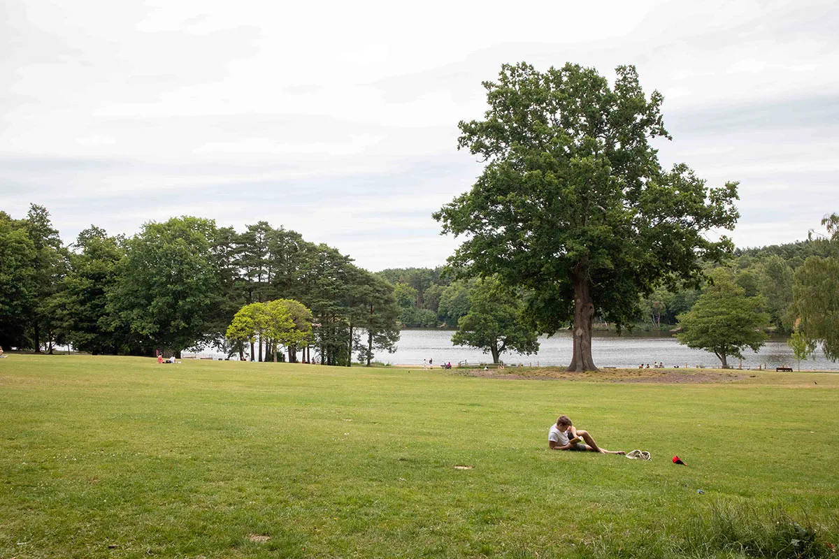 Turners hill - Tilgate park