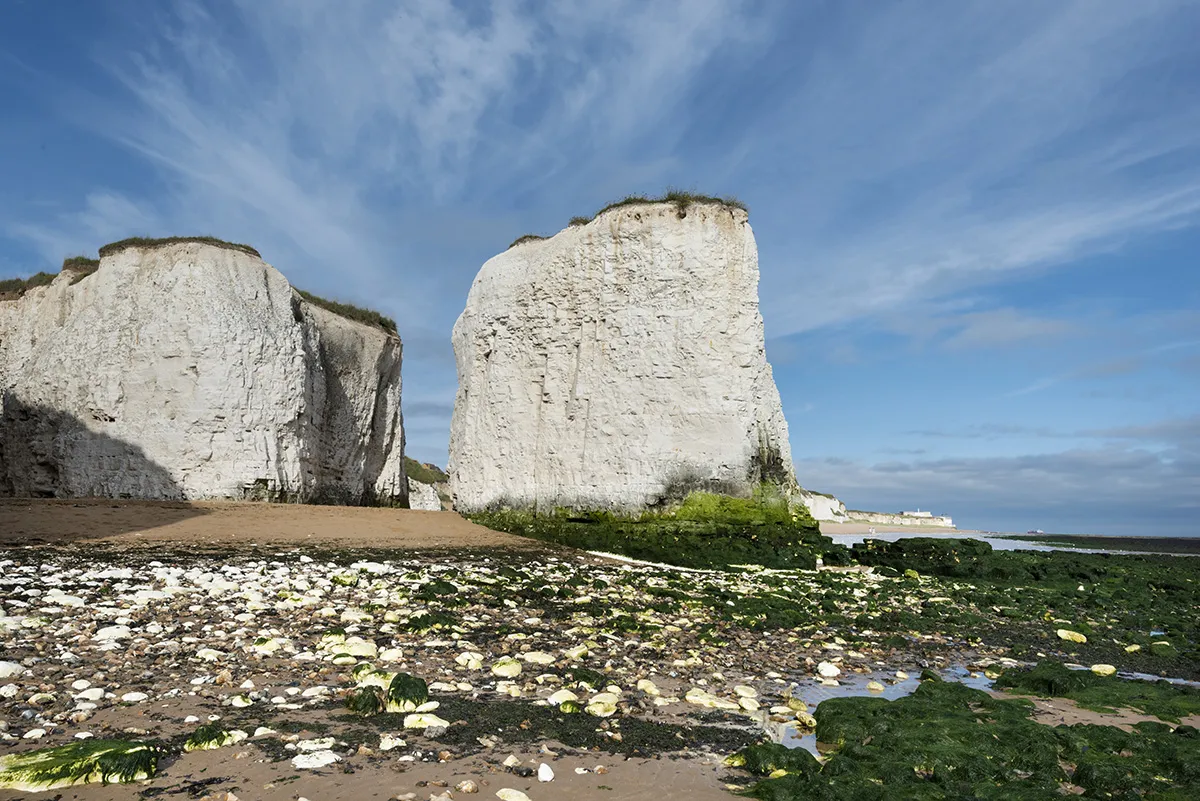 Kingsgate Place Area