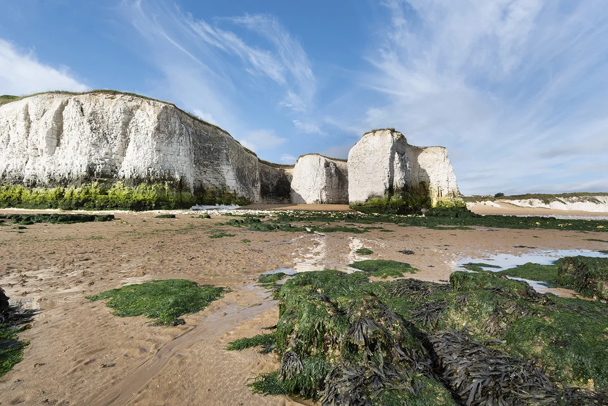 Kingsgate Place Area